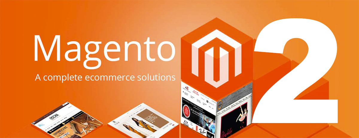 Best Magento Developers in Surat