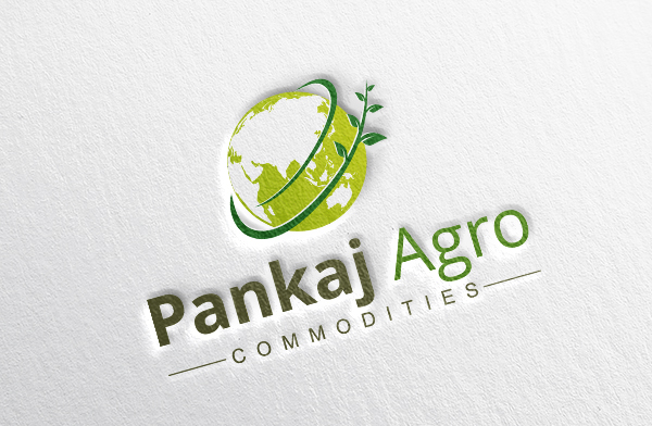 logo designer company in Ahmedabad 