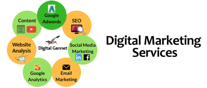 Digital Marketing Company In Hisar