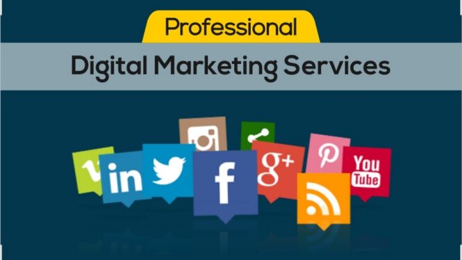 Digital Marketing Company In Jodhpur