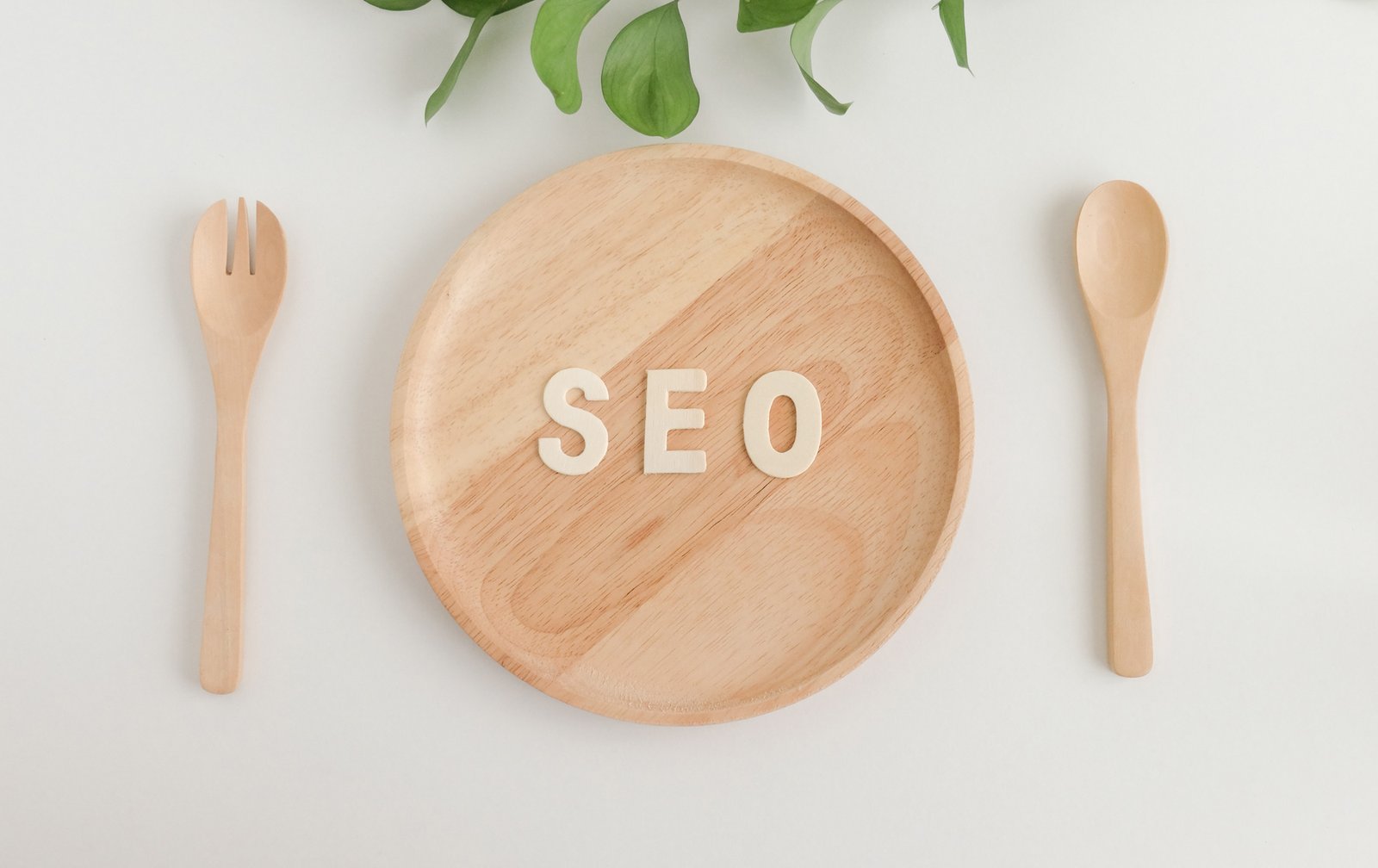 seo company in alwar