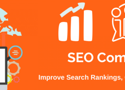 SEO Company In Mohali